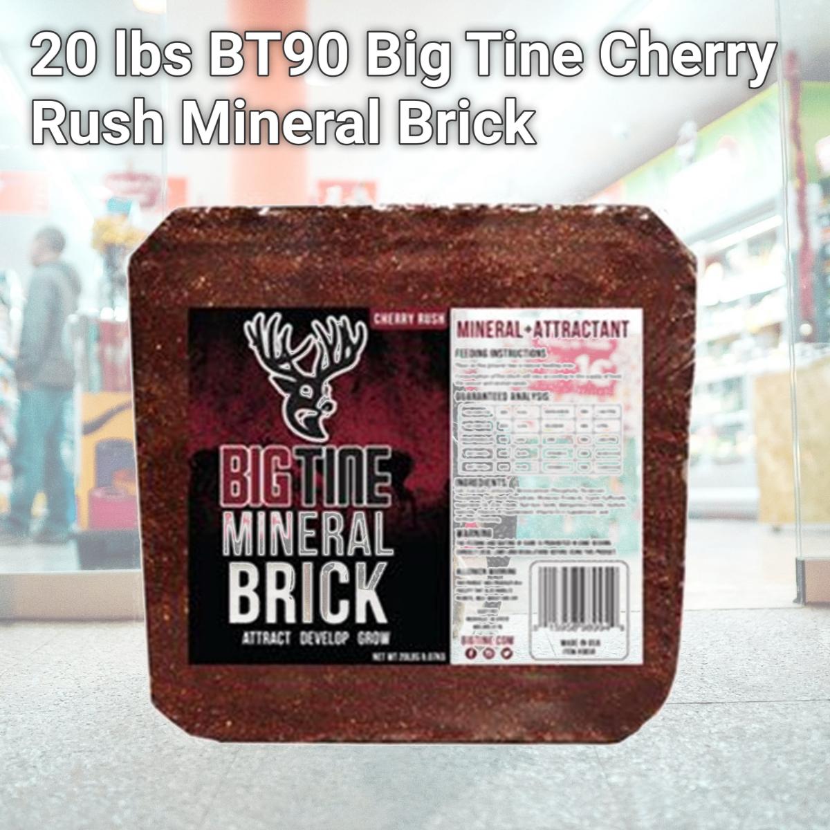 Picture of Scott Pet 256757 20 lbs BT90 Big Tine Cherry Rush Mineral Brick