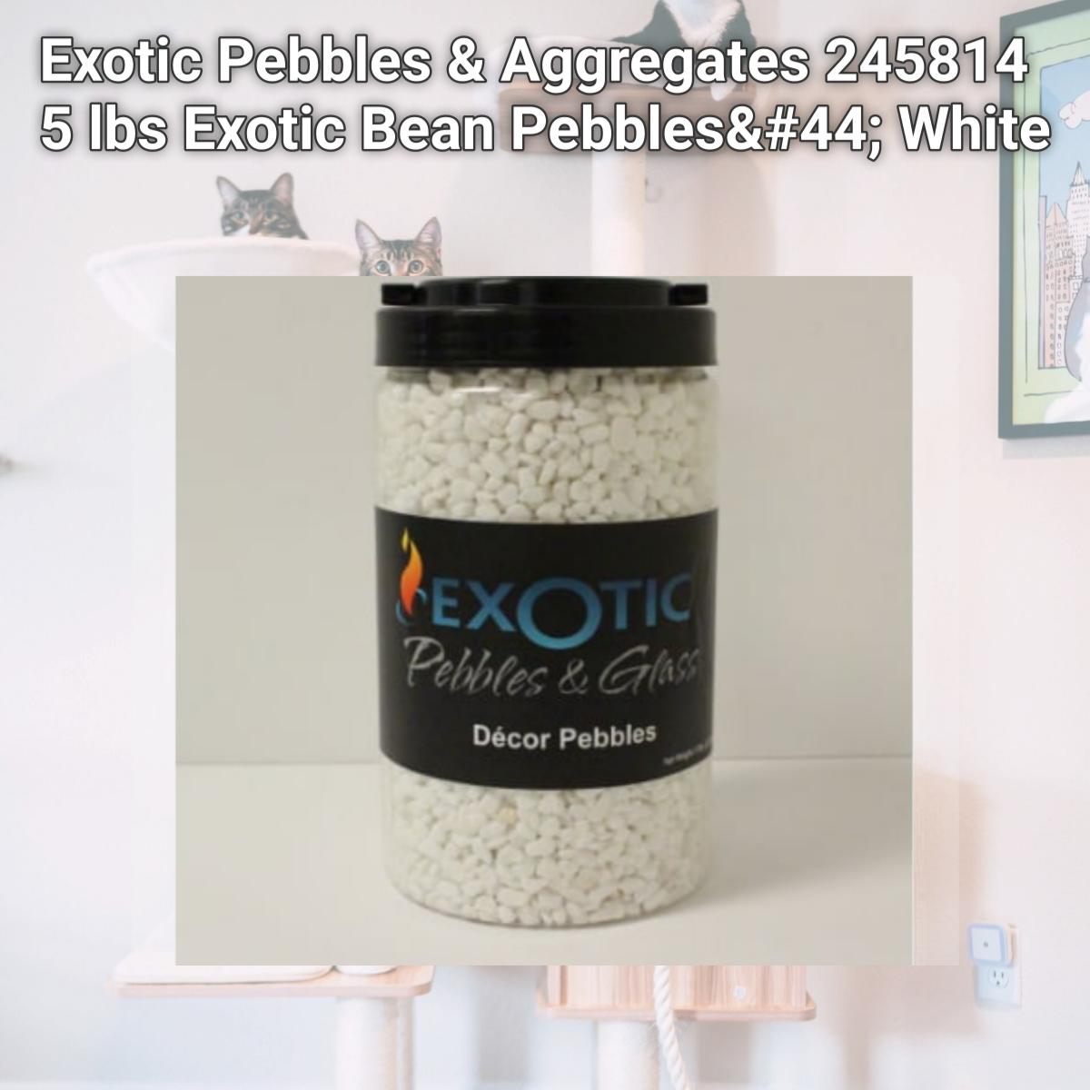 Picture of Exotic Pebbles & Aggregates 245814 5 lbs Exotic Bean Pebbles&#44; White