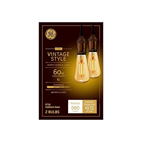 6 watt ST19 Shape LED Bulb, Warm White - Pack of 2