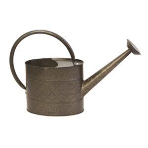 1 gal Zinc Watering Can, Black