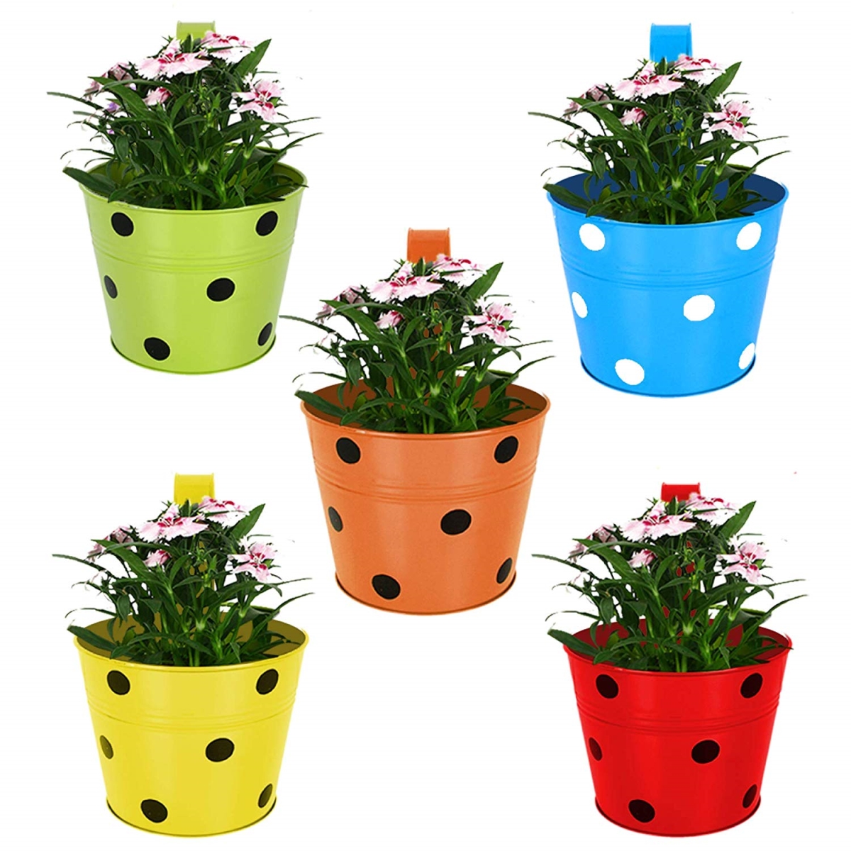 8.3 x 6.4 in. Round Duo Planter, Grafite - Pack of 10