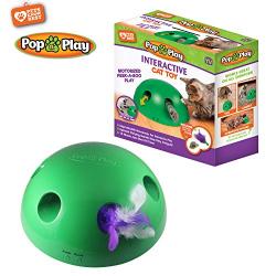 Picture of Allstar Marketing Group 260927 Pop N Play Cat Toy