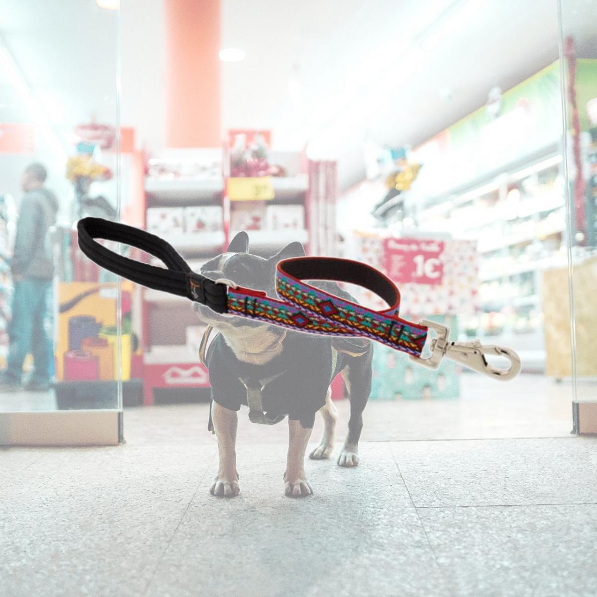 Picture of Lupine 257000 0.75 in. x 6 ft. El Paso Dog Leash