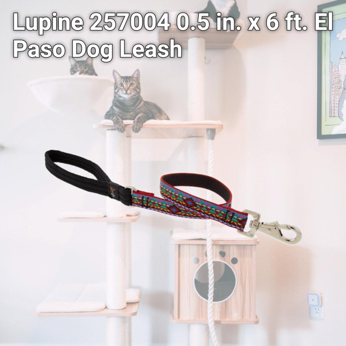 Picture of Lupine 257004 0.5 in. x 6 ft. El Paso Dog Leash