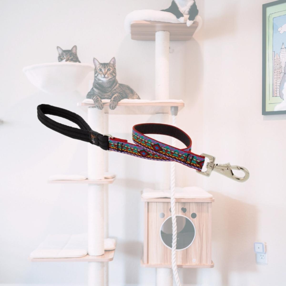 Picture of Lupine 257004 0.5 in. x 6 ft. El Paso Dog Leash