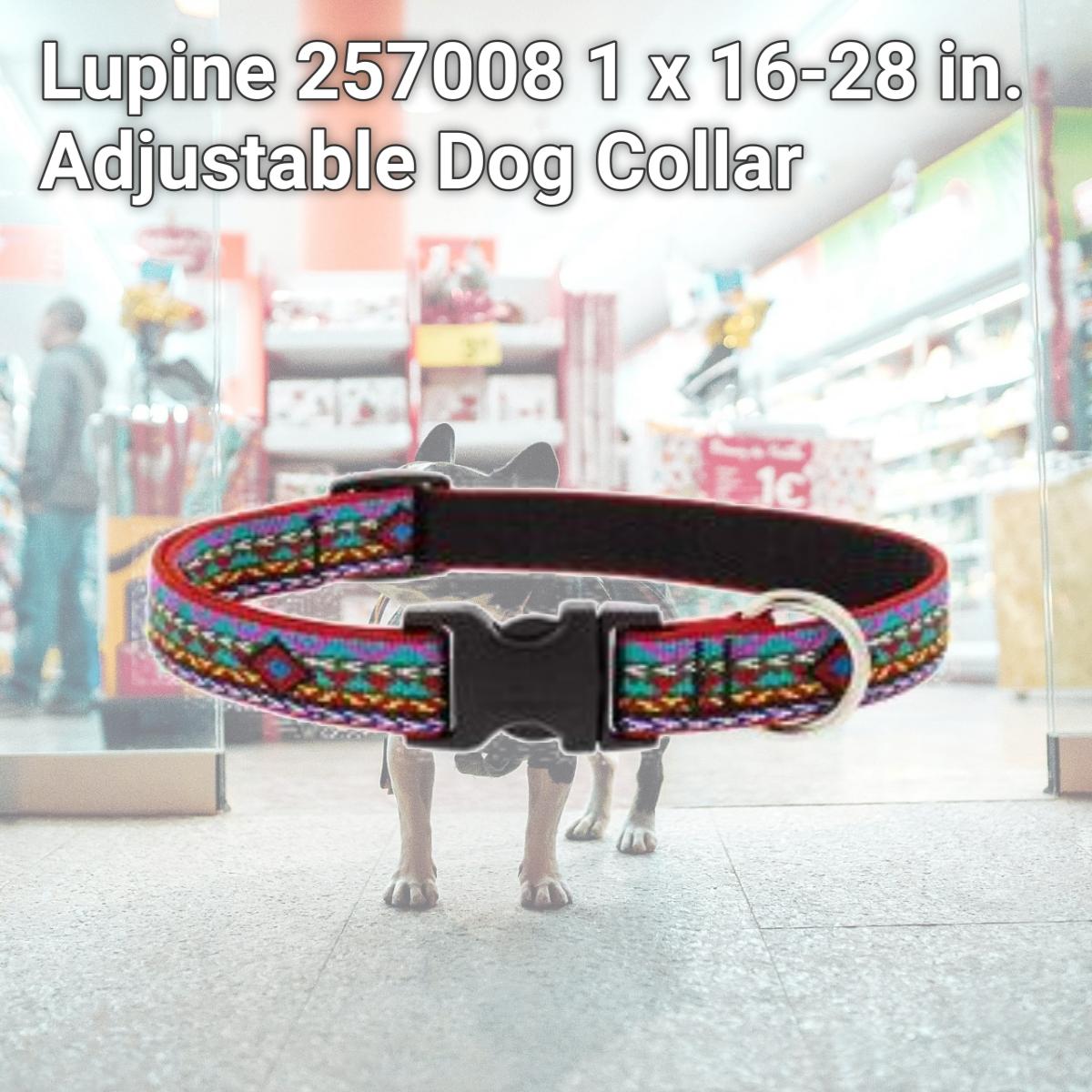 Picture of Lupine 257008 1 x 16-28 in. Adjustable Dog Collar