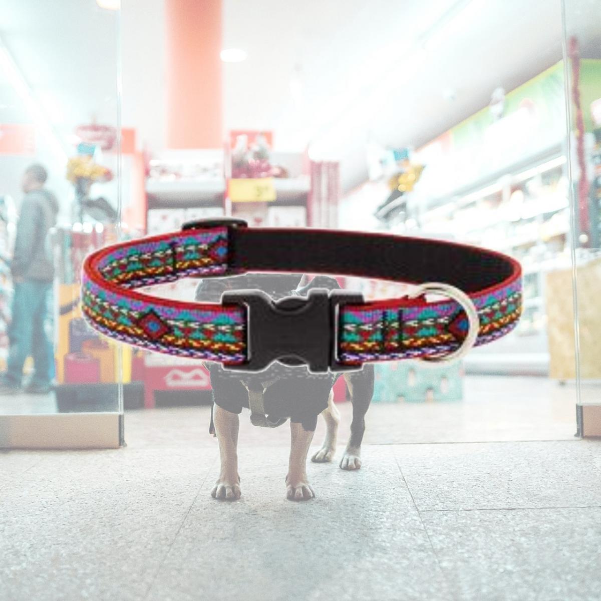 Picture of Lupine 257008 1 x 16-28 in. Adjustable Dog Collar
