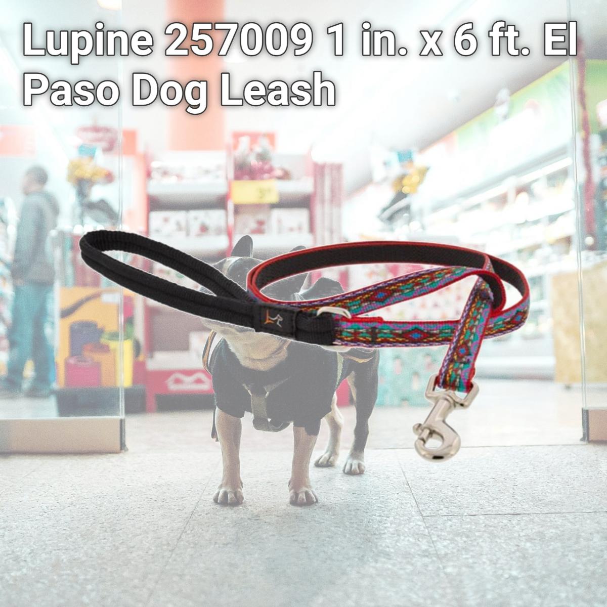 Picture of Lupine 257009 1 in. x 6 ft. El Paso Dog Leash