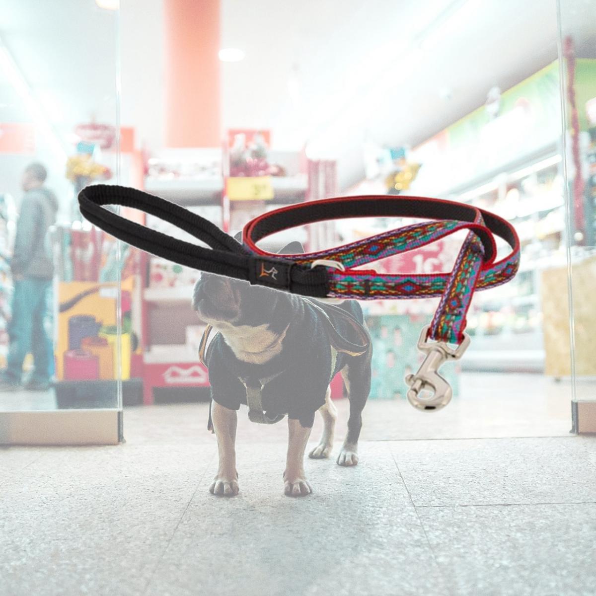 Picture of Lupine 257009 1 in. x 6 ft. El Paso Dog Leash