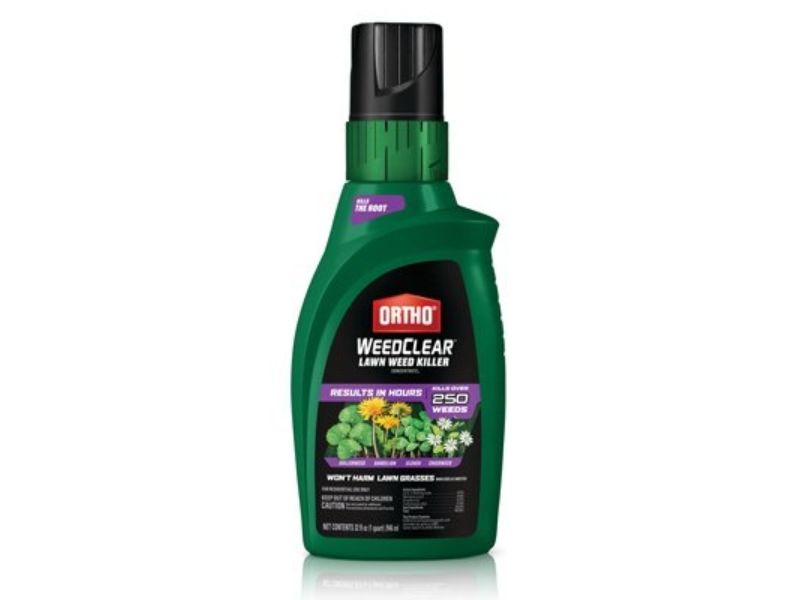 262137 32 oz Concentrate WeedClear Lawn Weed Killer - Southern Lawns -  SCOTTS ORTHO ROUNDUP