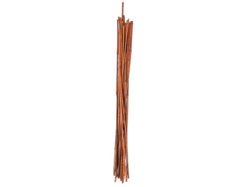 Products  4 ft. Bamboo Plant Stake - Pack of 12