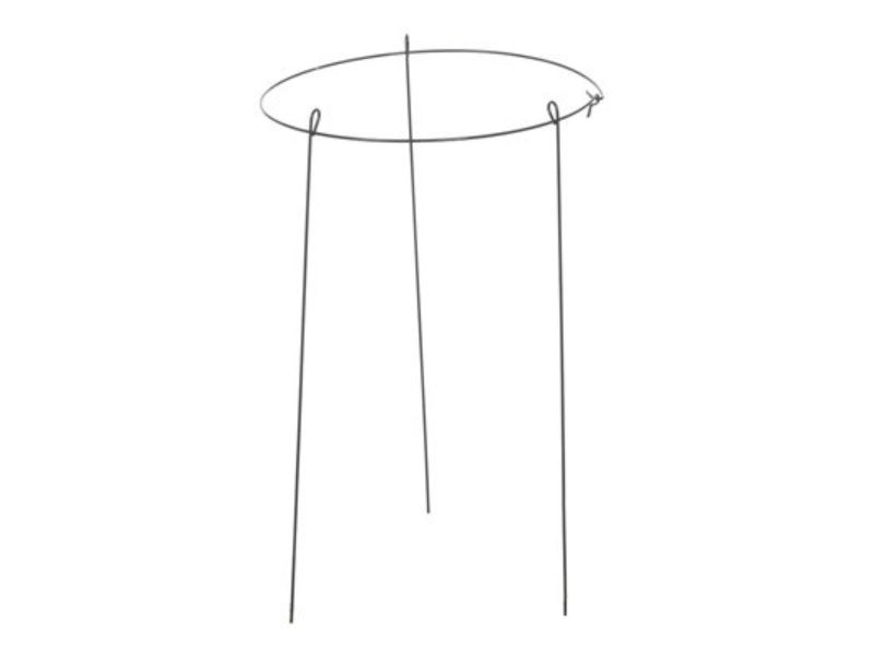 14 in. Single Peony Plant Support, Green Ring