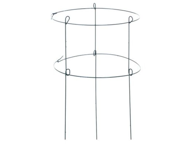 18 x 36 in. Double Peony Plant Support, Green Ring