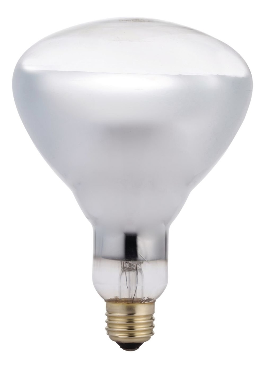 Picture of Caco Abbo International 260673 125 watt&#44; 2700K R40 Clear Heat Lamp