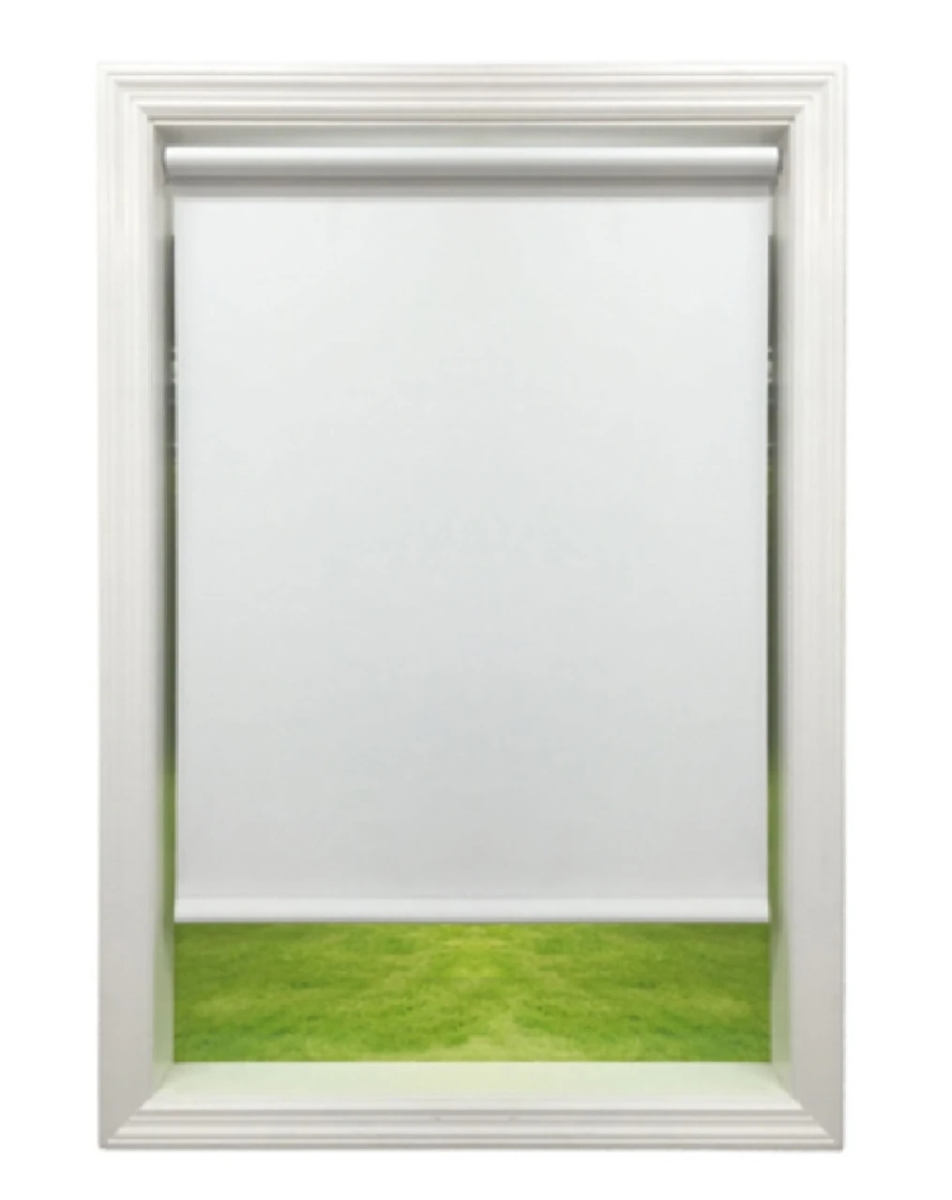 55 x 72 in. Venus Economy Roller Shade, White