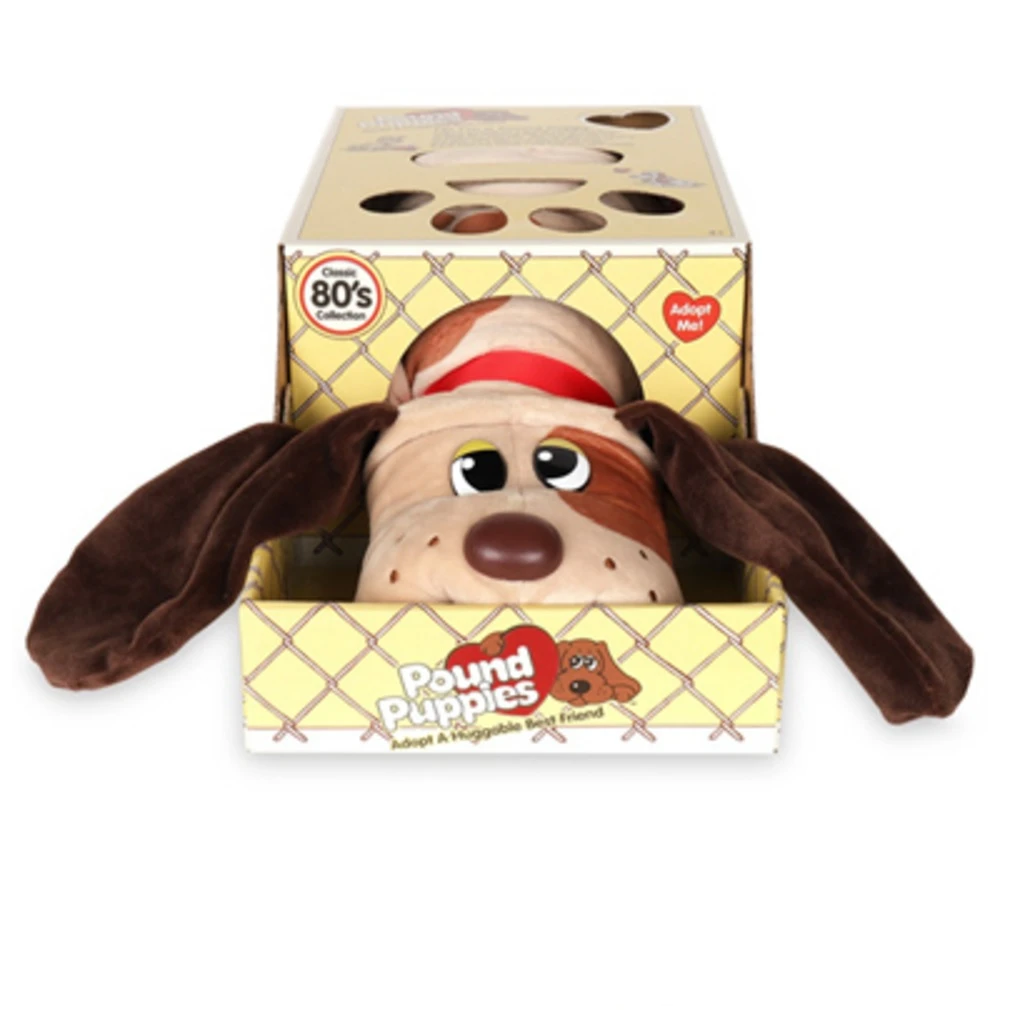 Assorted Pound Puppies - Pack of 2 -  Basic Fun, BA572238