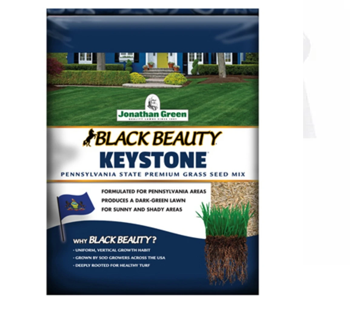 3 lbs Beauty Keystone, Black