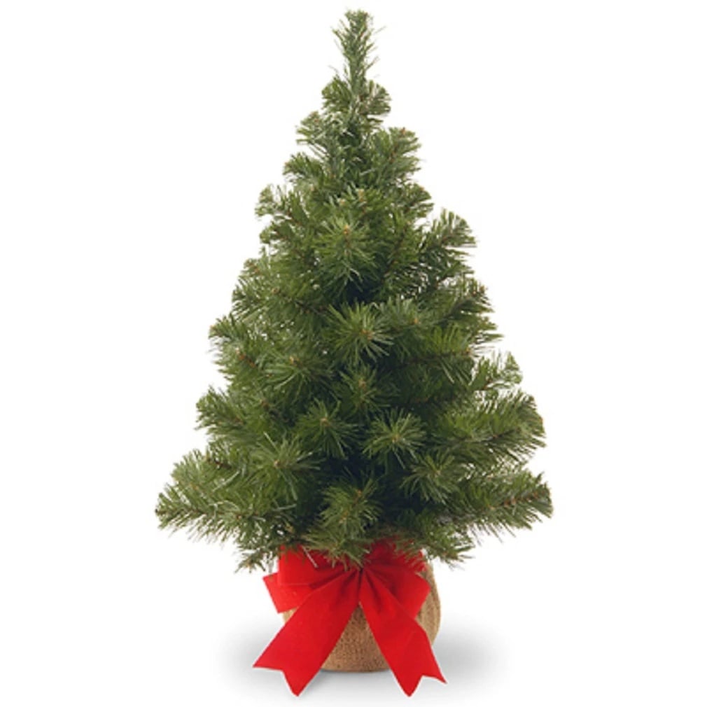 2 ft. Noble Fir Artificial Tree, Warm White