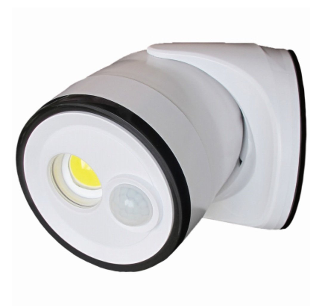 Picture of Fulcrum Products 273659 Dual Security Flood Light