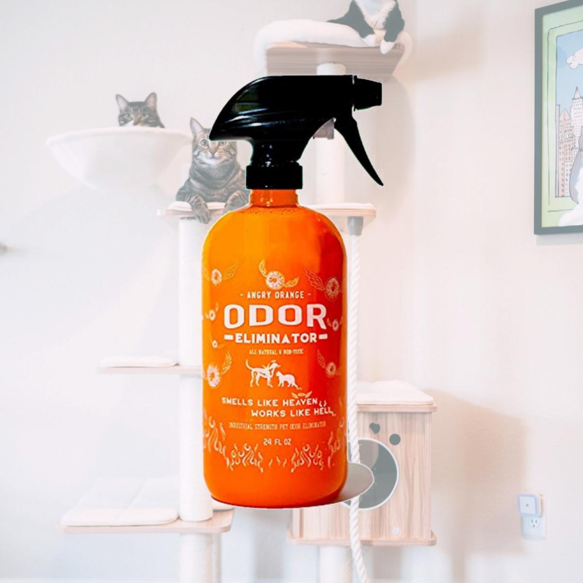 Picture of Angry Orange 273956 24 oz Pet Odor Spray