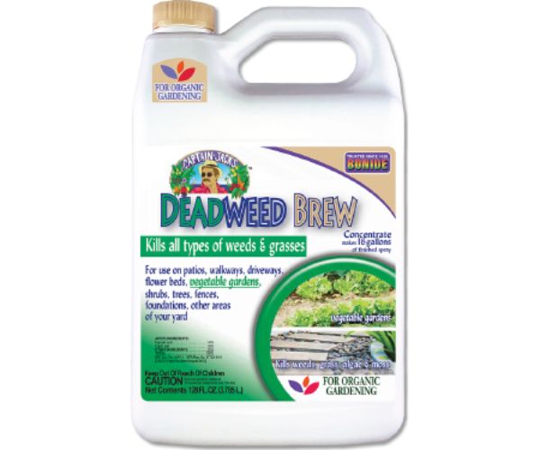 Bonide  1 gal BurnOut II Concentrate Weed & Grass Killer