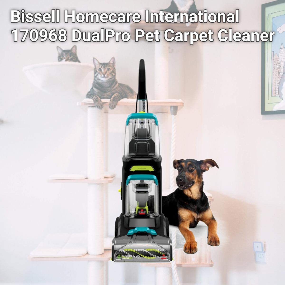 Picture of Bissell Homecare International 170968 DualPro Pet Carpet Cleaner