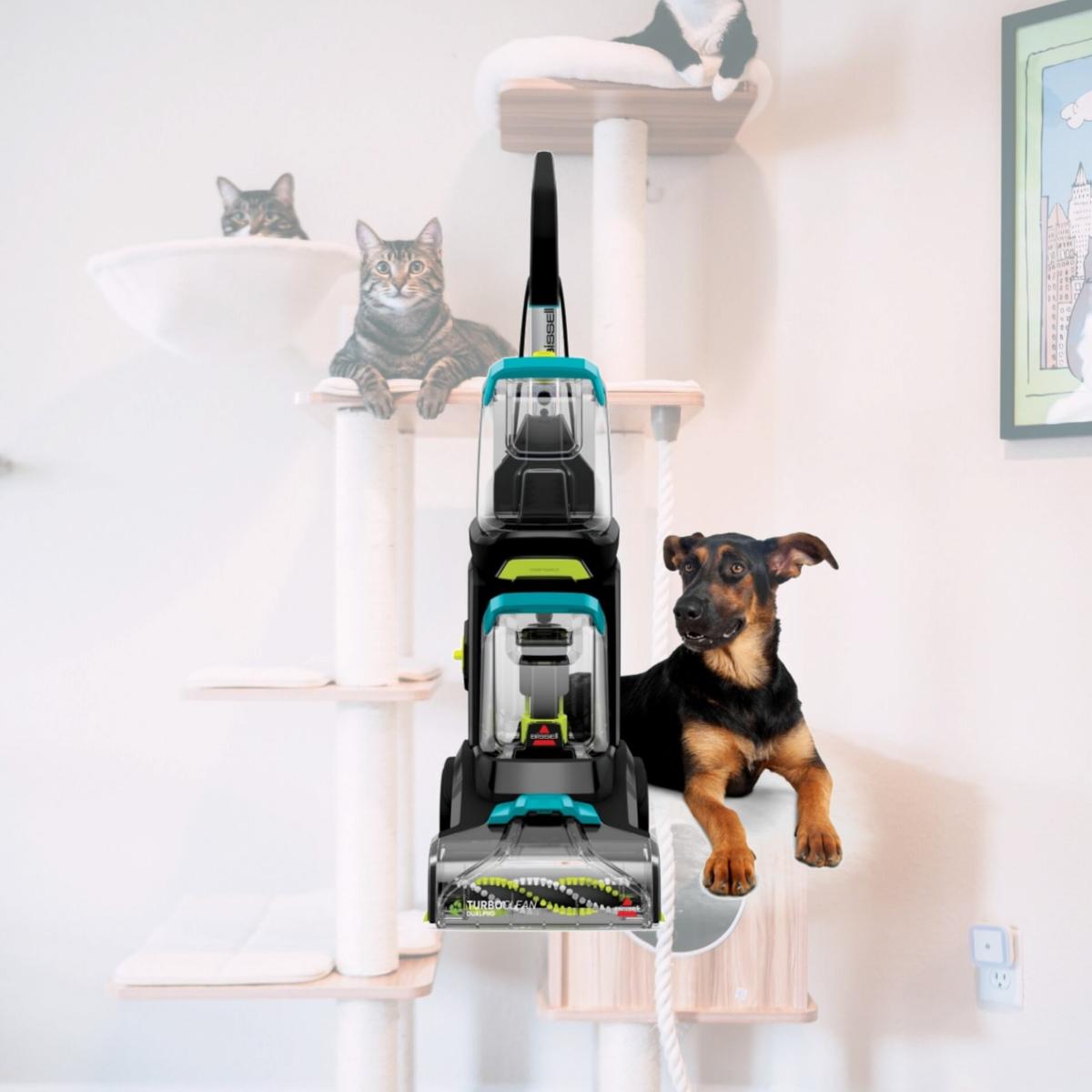 Picture of Bissell Homecare International 170968 DualPro Pet Carpet Cleaner