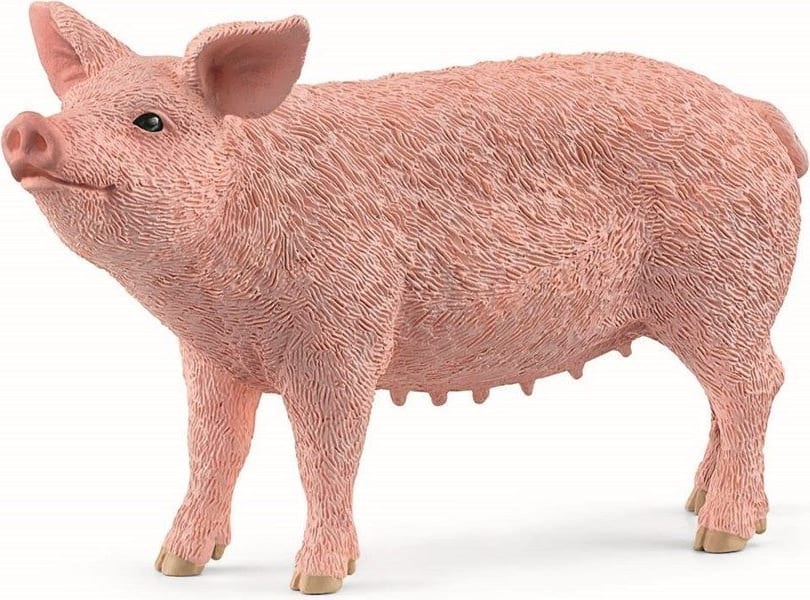Picture of Schleich North America 105018 Pig Toy Figurine - Pack of 5