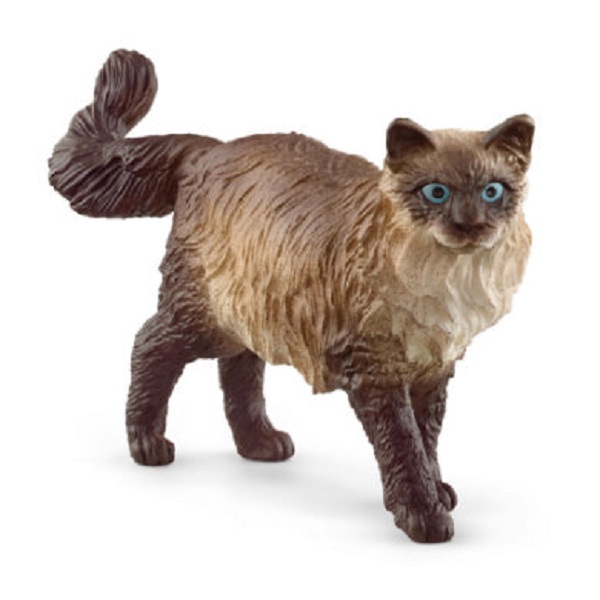 Picture of Schleich North America 105026 Ragdoll Cat Toyfigurine&#44; Pack of 5