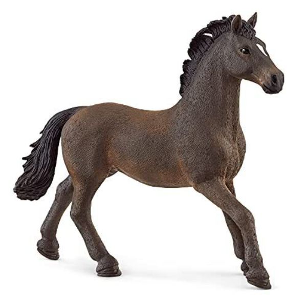 Picture of Schleich North America 105029 Oldenburg Stallion Toy Figurine&#44; Pack of 5