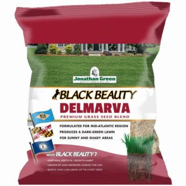 3 lbs Black Beauty DelmarvaMix Seed