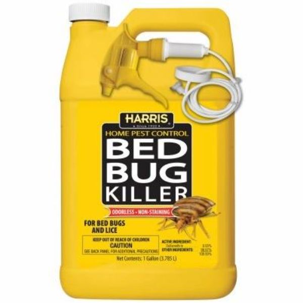 1 gal Latex EGG RTU Bed Bug Killer, White