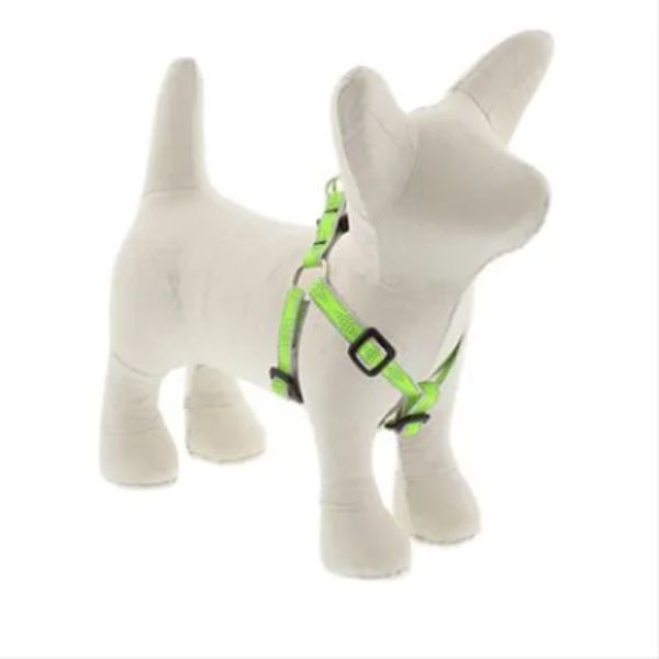 Picture of Lupine 107748 0.5 x 12-18 in. Diamond Dog Harness&#44; Green