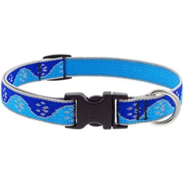Picture of Lupine 107762 0.75 x 13-22 in. Paws Dog Collar, Blue