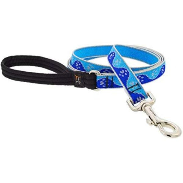 Picture of Lupine 107763 0.75 in. x 6 ft. Paws Dog Leash, Blue