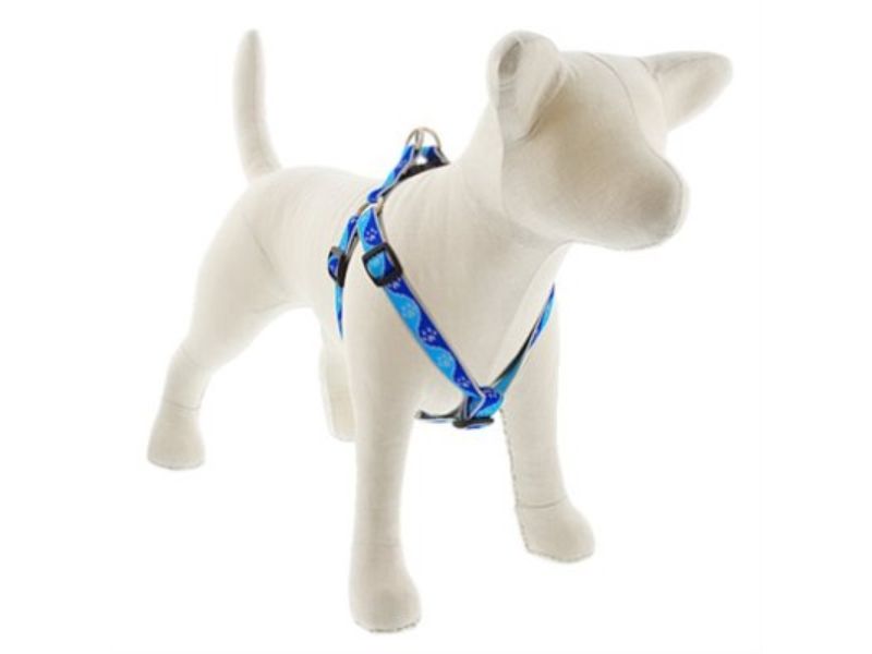 Picture of Lupine 107767 0.75 x 15 in.-21 in. Reflective Blue Paws Pattern Step-In Small Dog Harness