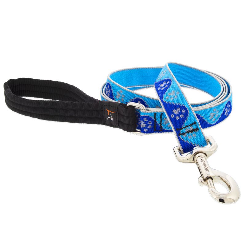 Picture of Lupine 107771 1 x 6 ft. Paws Dog Leash, Blue