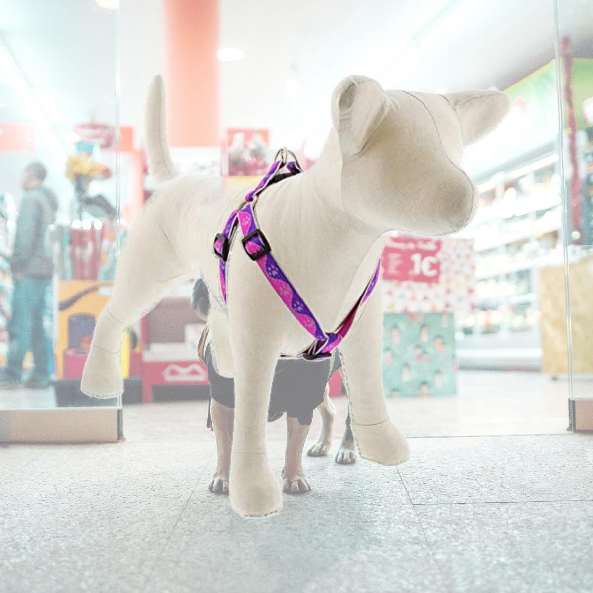 Picture of Lupine 107779 0.75 x 15-21 in. Paws Dog Harness, Pink