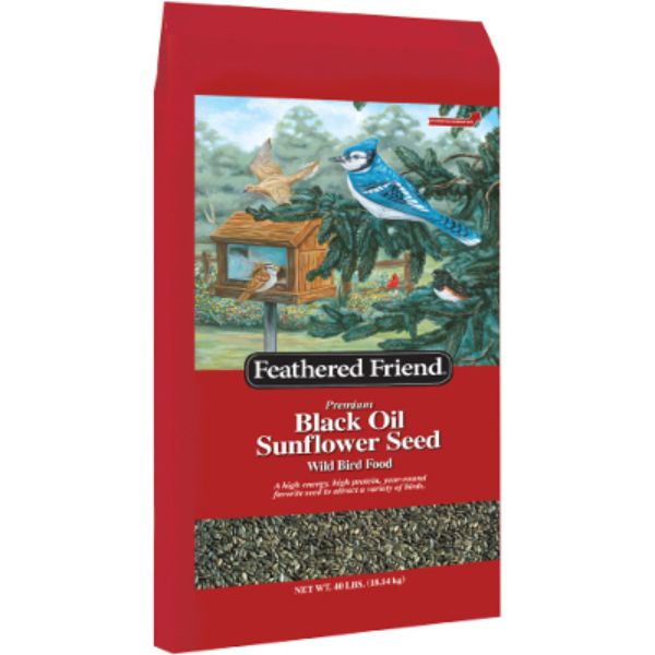 Picture of Global Harvest Foods 110429 40 lbs Black Oil Sunflower Seeds