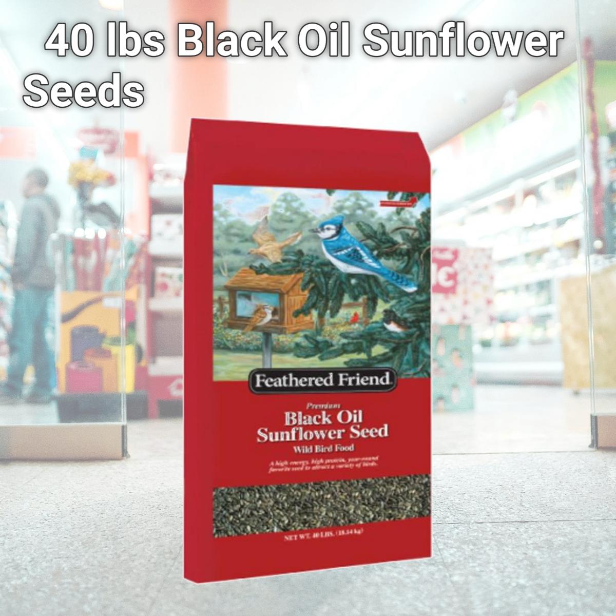 Picture of Global Harvest Foods 110429 40 lbs Black Oil Sunflower Seeds