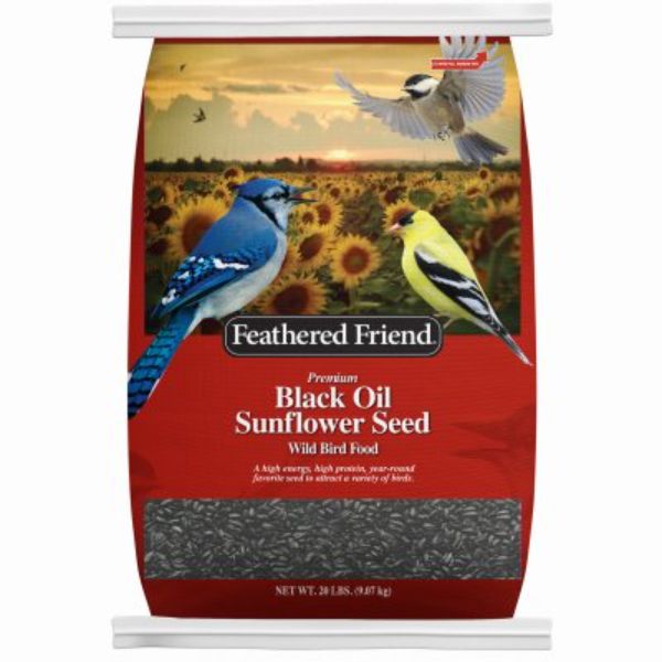 Picture of Global Harvest Foods 110428 20 lbs Black Oil Sunflower Seeds