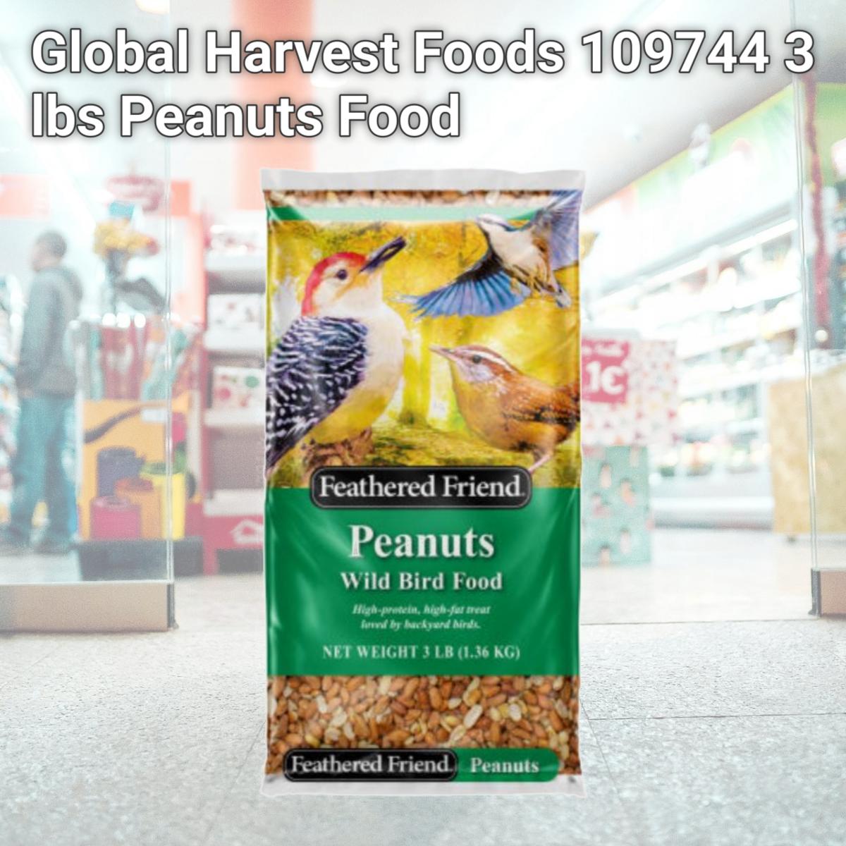 Picture of Global Harvest Foods 109744 3 lbs Peanuts Food