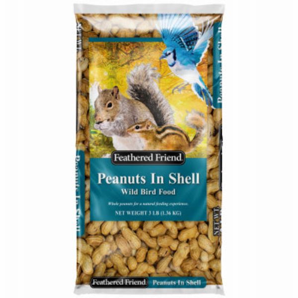 Picture of Global Harvest Foods 109745 3 lbs Shell Peanuts Food