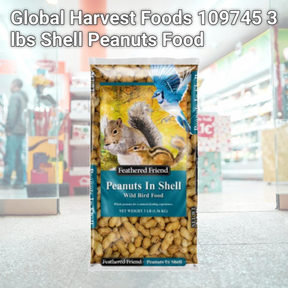 Picture of Global Harvest Foods 109745 3 lbs Shell Peanuts Food