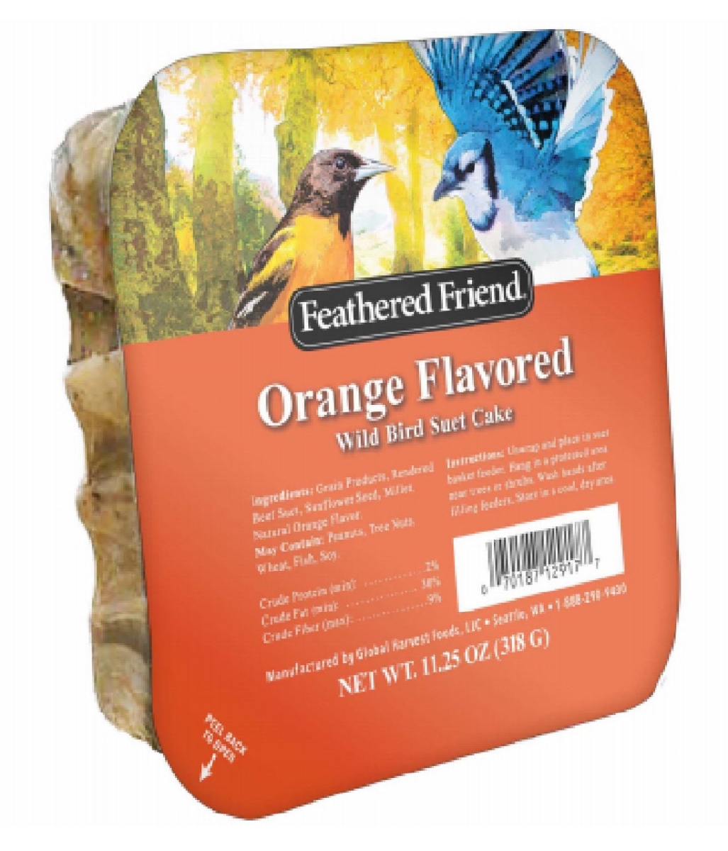Picture of Global Harvest Foods 109801 Orange FlavorSuet Wild Birds Suet Cake