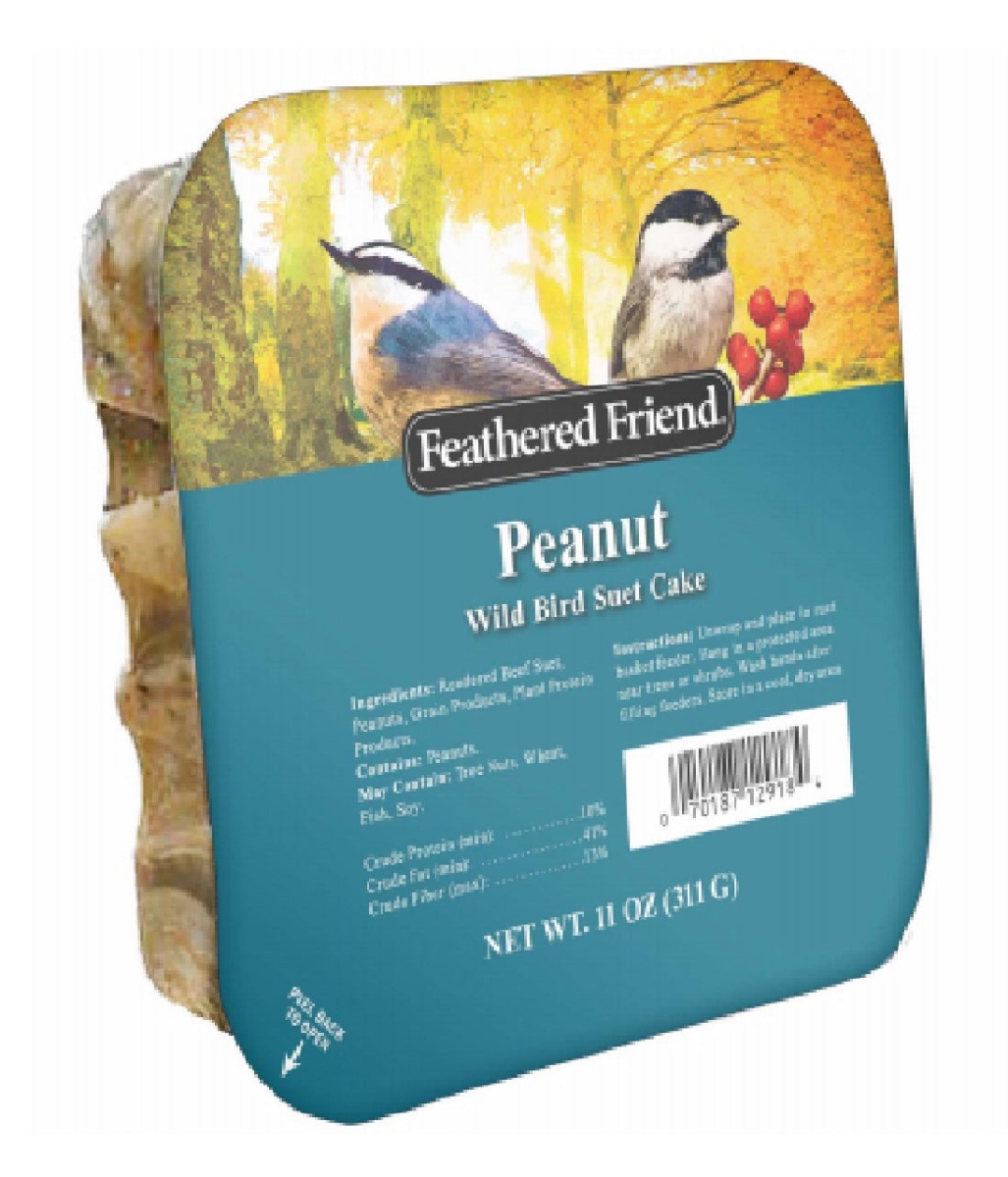 Picture of Global Harvest Foods 109802 Peanut Wild Birds Suet Cake