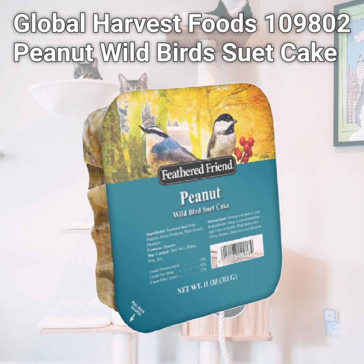 Picture of Global Harvest Foods 109802 Peanut Wild Birds Suet Cake