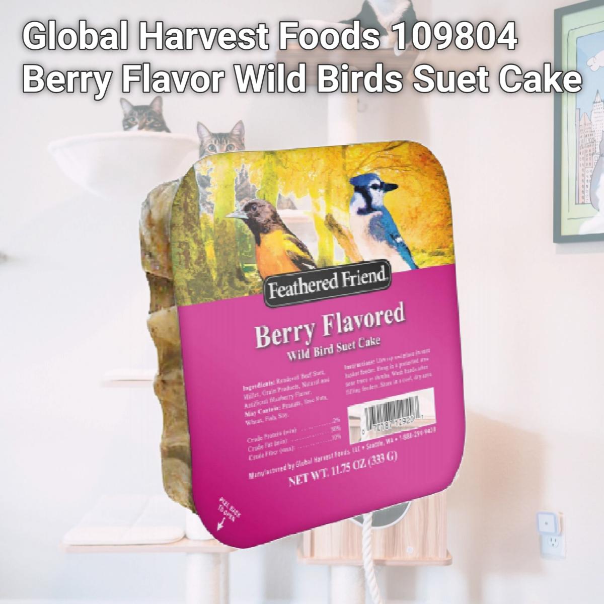 Picture of Global Harvest Foods 109804 Berry Flavor Wild Birds Suet Cake