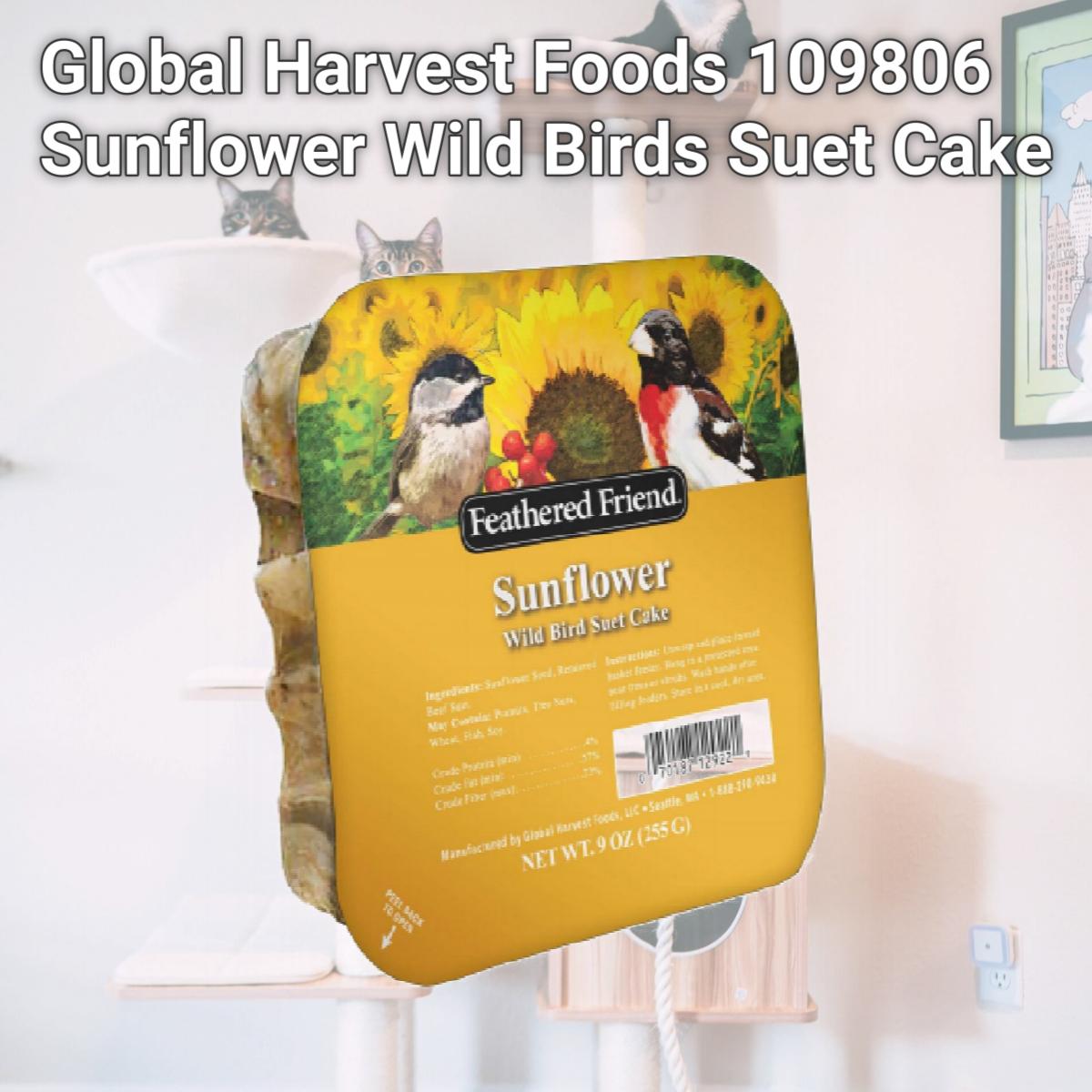 Picture of Global Harvest Foods 109806 Sunflower Wild Birds Suet Cake