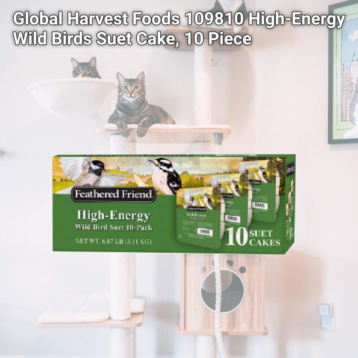Picture of Global Harvest Foods 109810 High-Energy Wild Birds Suet Cake, 10 Piece